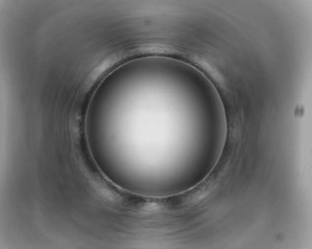X0000092010111200709061540