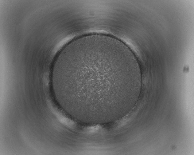X0000092010112200709061540