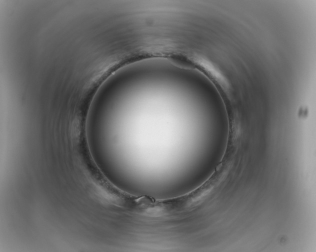 X0000092010113200709061540