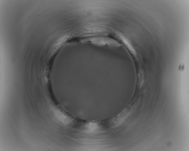 X0000092010114200709061540