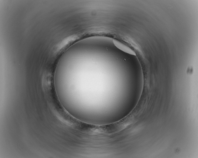 X0000092010115200709061540