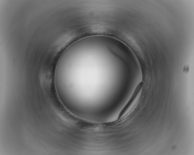 X0000092010116200709061540