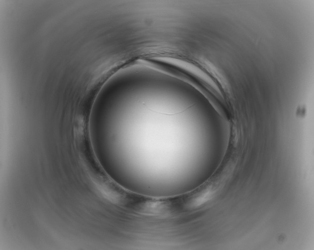 X0000092010117200709061540