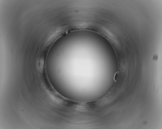 X0000092010118200709061540