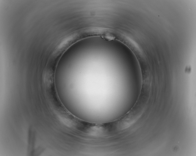 X0000092010119200709061540