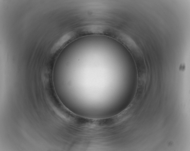 X0000092010120200709061540