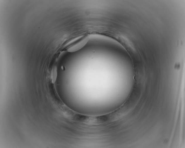 X0000092010123200709061540