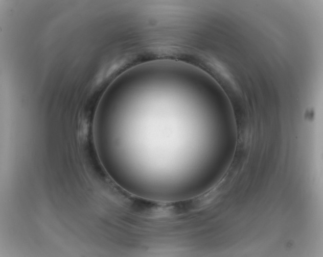 X0000092010124200709061540