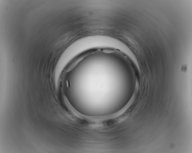 X0000092010125200709061540