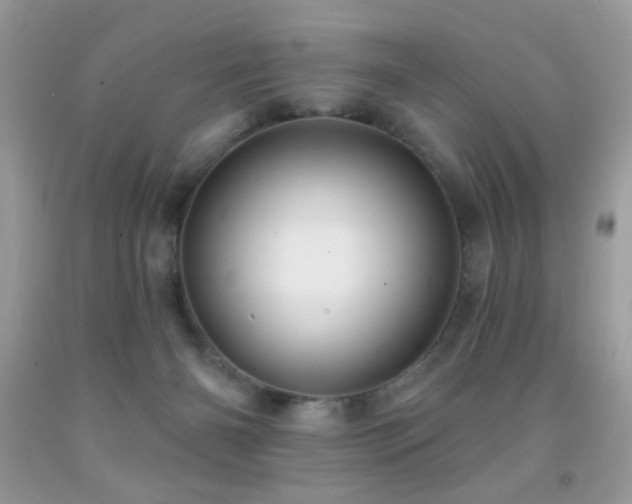 X0000092010126200709061540