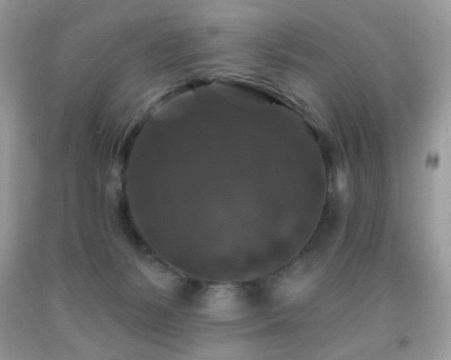 X0000092010127200709061540