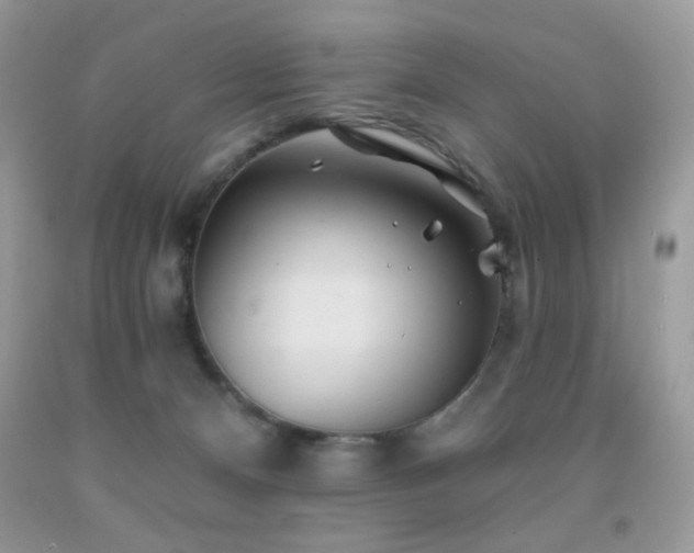 X0000092010128200709061540