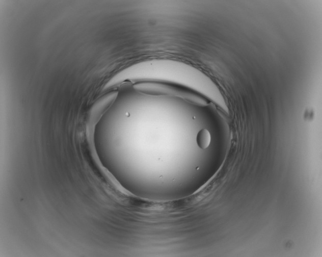 X0000092010129200709061540