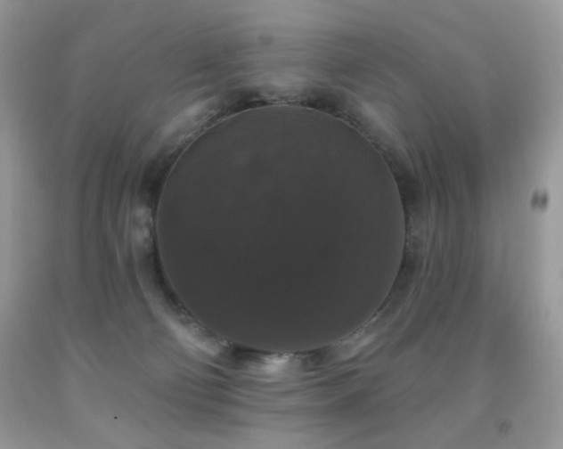 X0000092010130200709061540