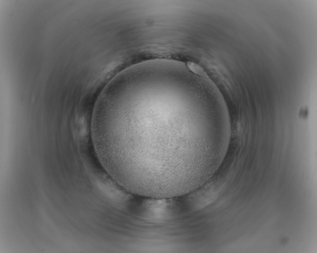 X0000092010131200709061540