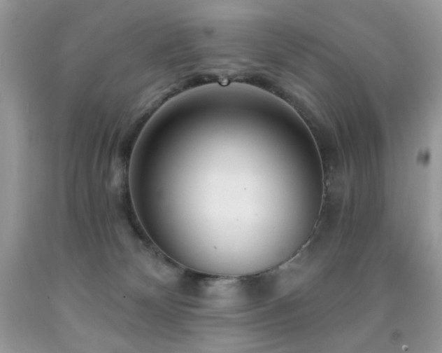 X0000092010132200709061540