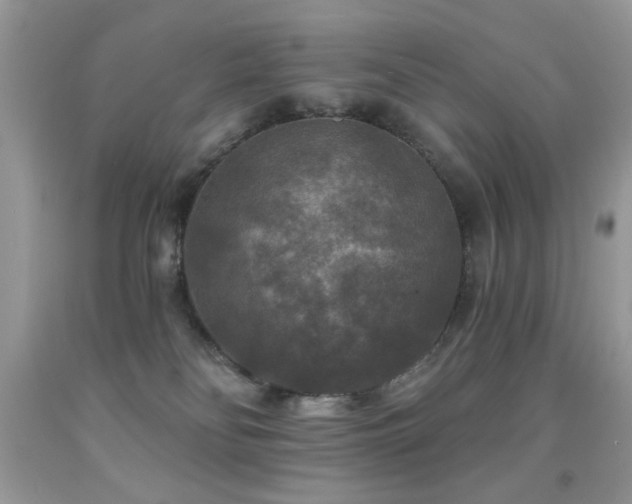 X0000092010134200709061540