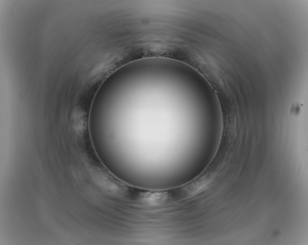 X0000092010135200709061540