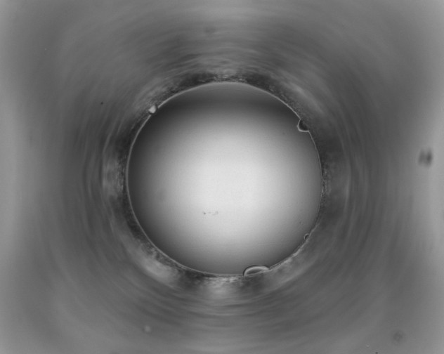 X0000092010136200709061540