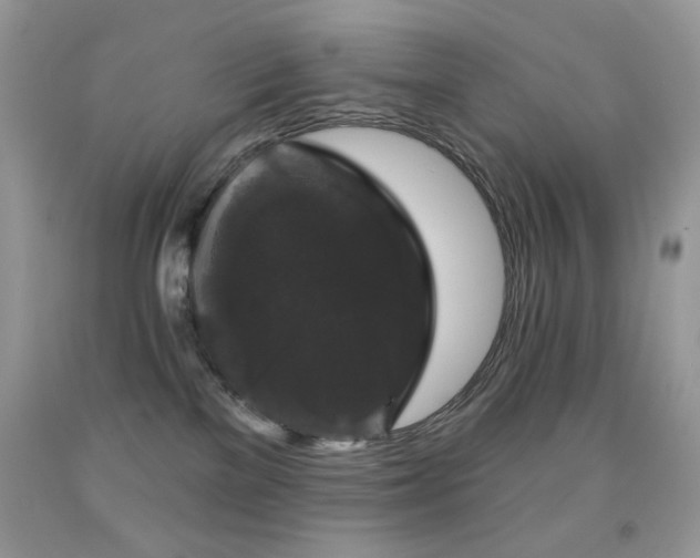 X0000092010137200709061540