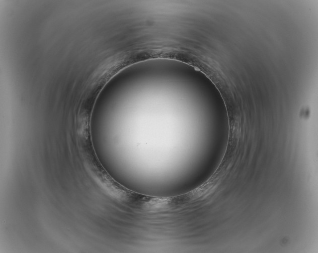 X0000092010138200709061540