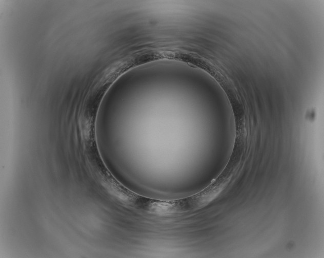 X0000092010139200709061540