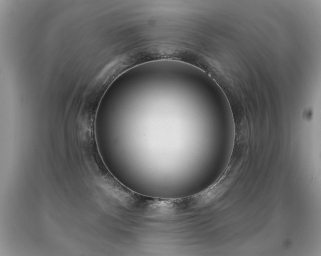 X0000092010140200709061540