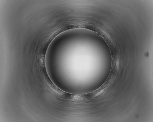 X0000092010141200709061540