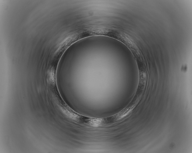 X0000092010143200709061540
