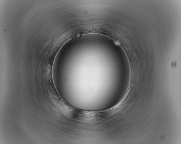 X0000092010144200709061540