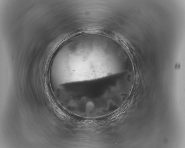 X0000092010145200709061539