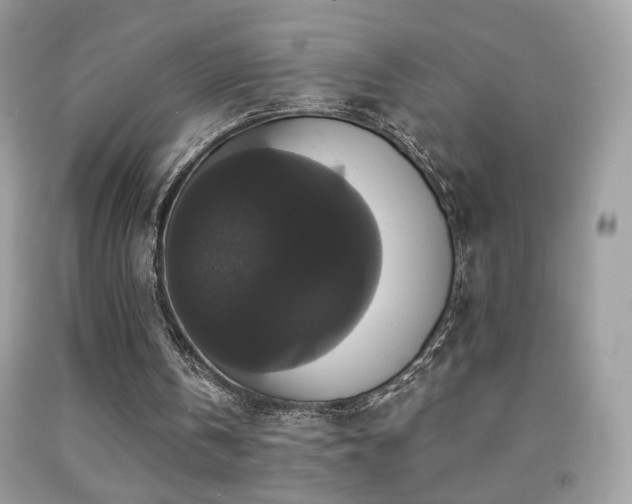 X0000092010146200709061539