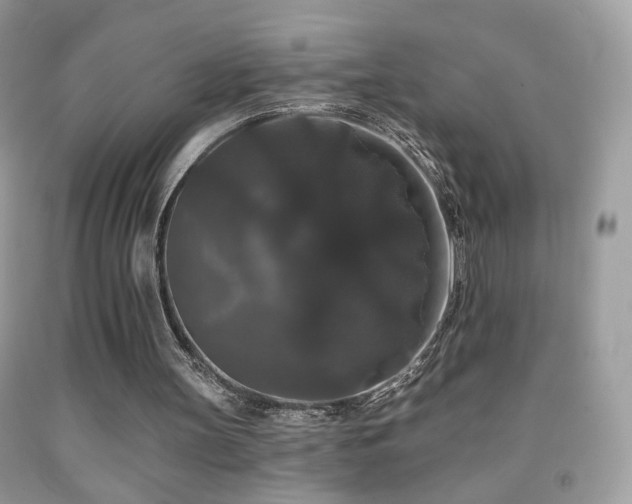 X0000092010147200709061539