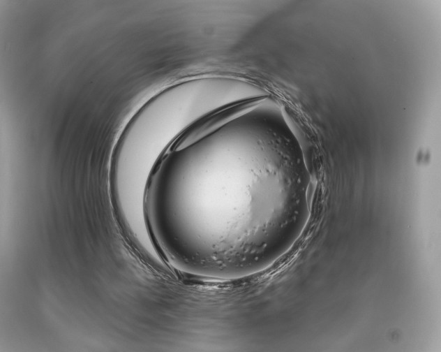 X0000092010148200709061539