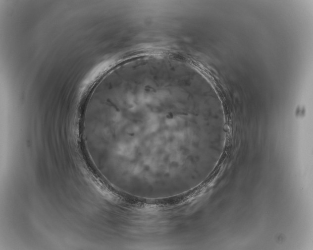 X0000092010149200709061539