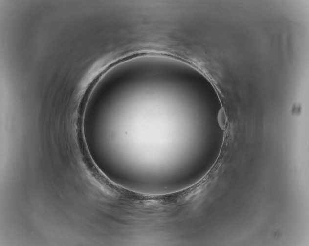X0000092010151200709061539