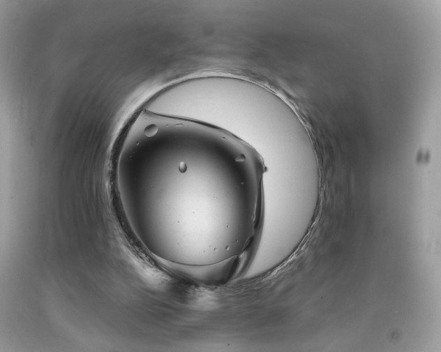 X0000092010152200709061539