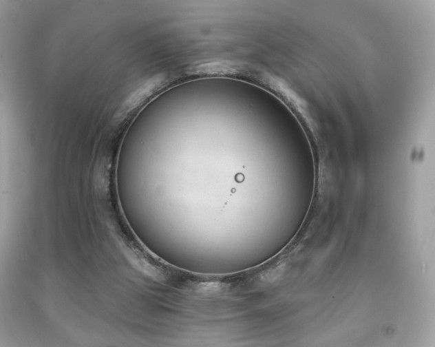 X0000092010153200709061539