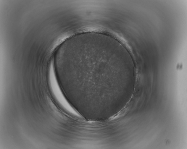 X0000092010154200709061539