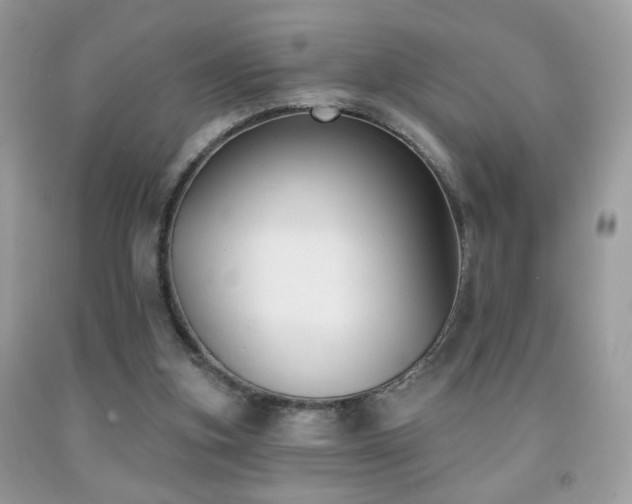X0000092010155200709061539