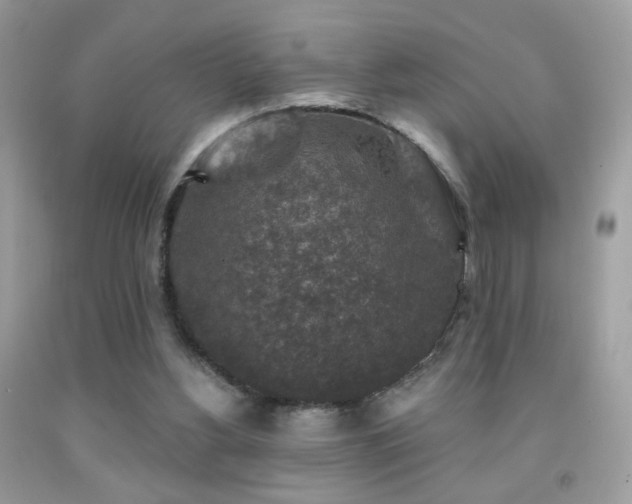 X0000092010156200709061539