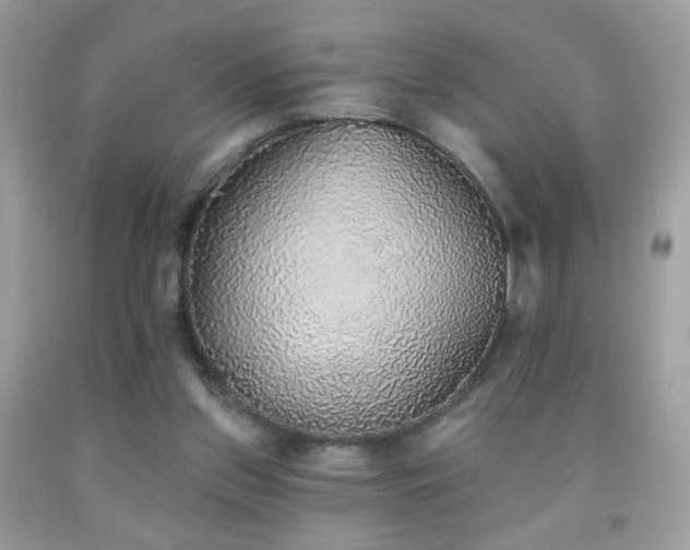 X0000092010157200709061539
