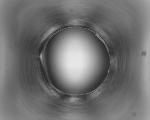 X0000092010158200709061539