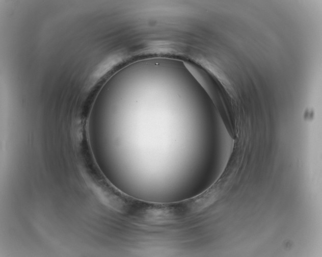 X0000092010160200709061540