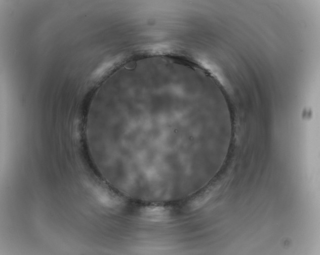 X0000092010161200709061540