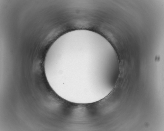 X0000092010162200709061540
