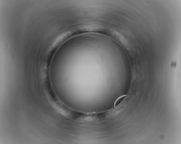 X0000092010163200709061540