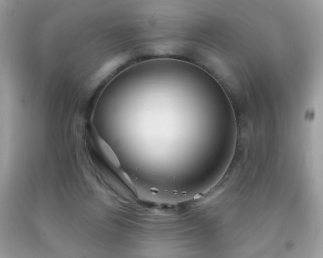 X0000092010164200709061540