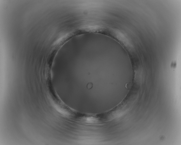X0000092010165200709061540