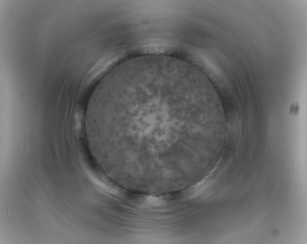 X0000092010166200709061540